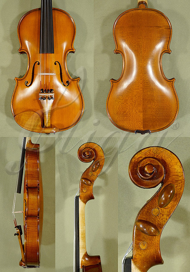 Antiqued 3/4 STUDENT GLORIA 2 Violin * Code: C0436