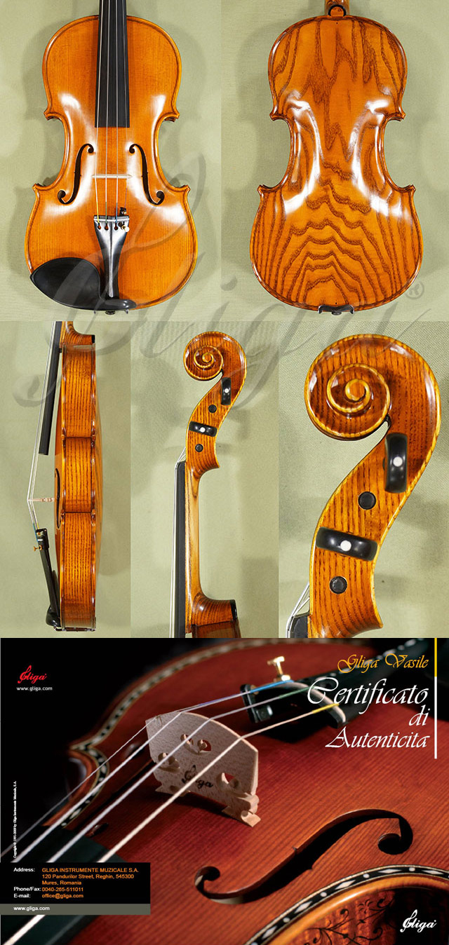 4/4 MAESTRO VASILE GLIGA Ash One Piece Back Violin * Code: C0832