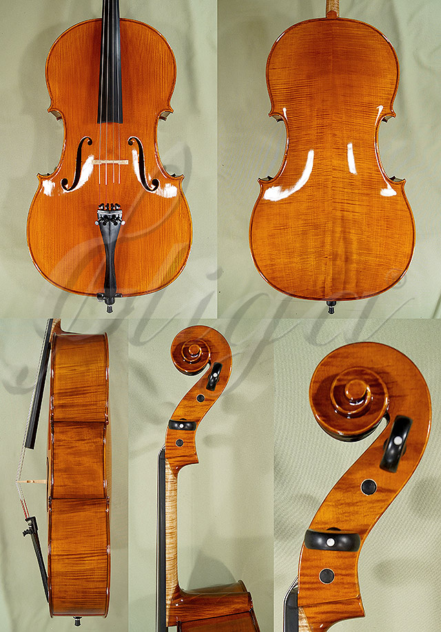 Shiny 4/4 PROFESSIONAL GAMA Cello  * Code: C1673