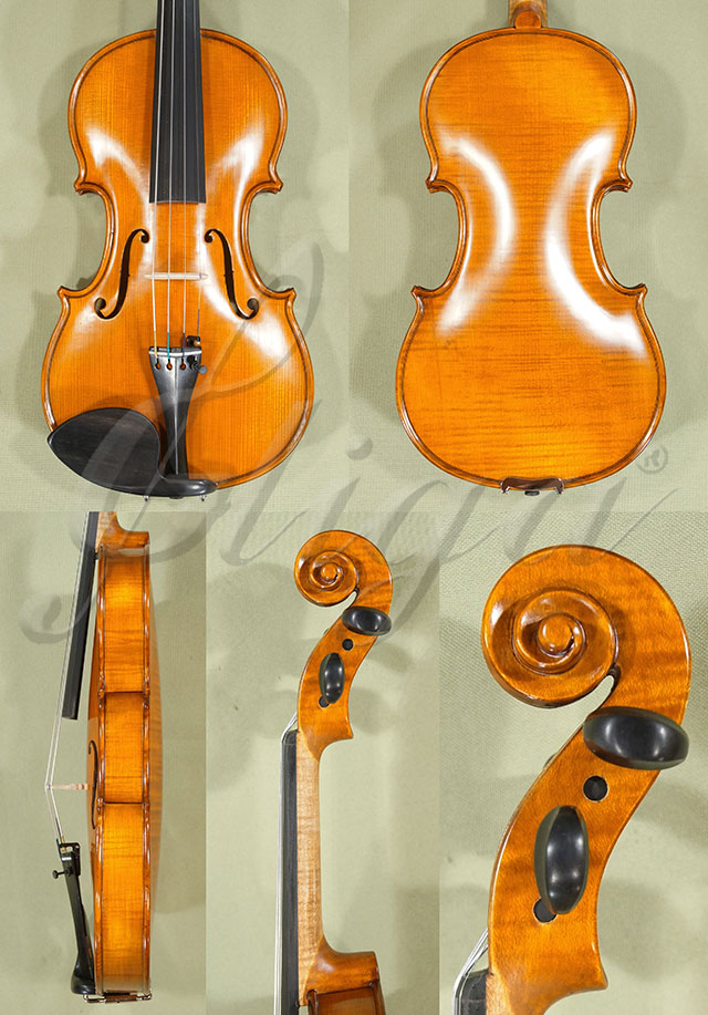 Antiqued 1/2 WORKSHOP GEMS 1 One Piece Back Violin * Code: C1857