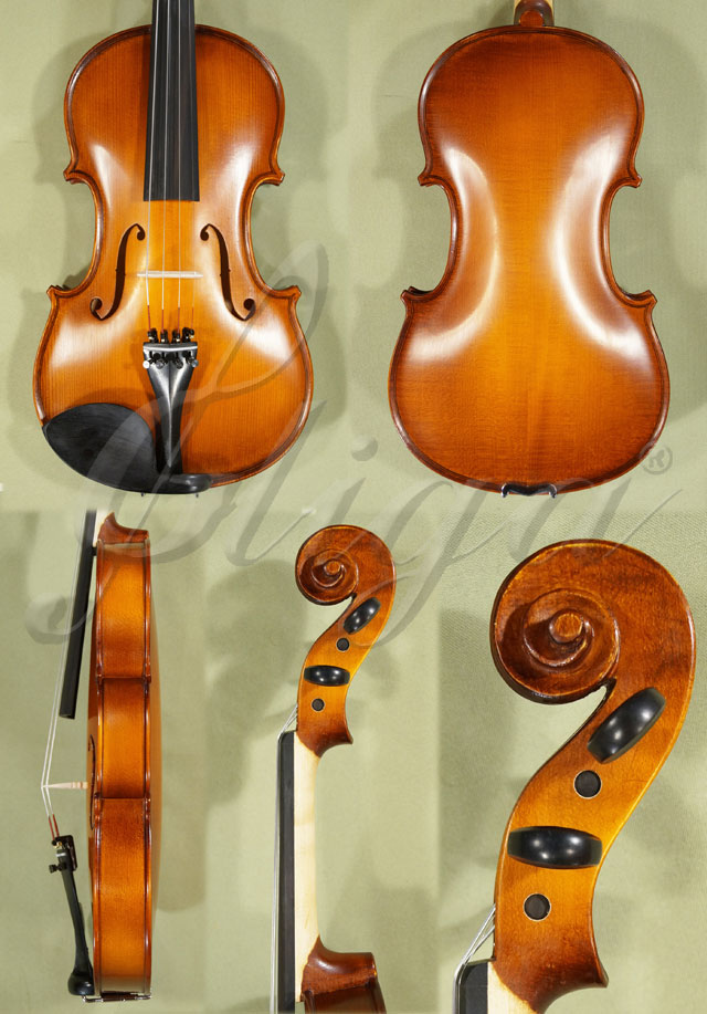 4/4 School GENIAL 1-Oil Violin Guarneri * Code: C2069