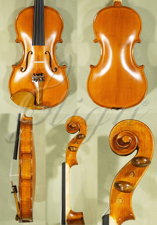 Antiqued 4/4 STUDENT GLORIA 2 Violin * Code: C2271