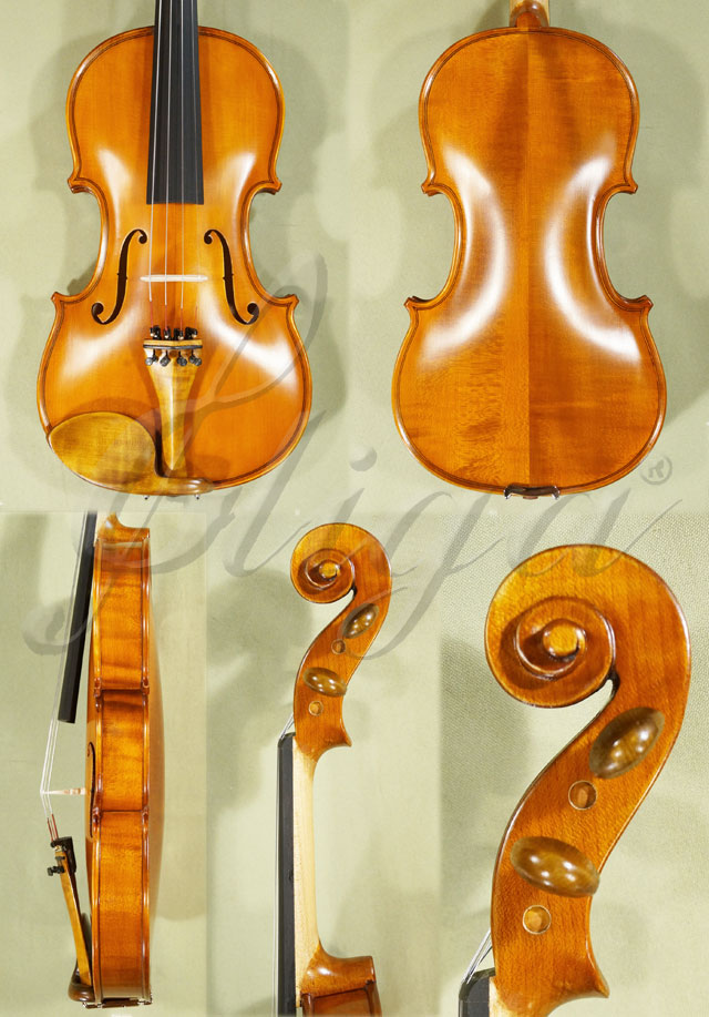 Antiqued 4/4 STUDENT GLORIA 2 Violin * Code: C2272