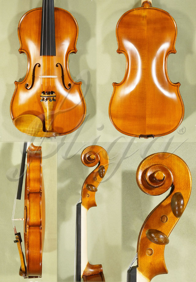 Antiqued 4/4 STUDENT GLORIA 2 Violin * Code: C2273