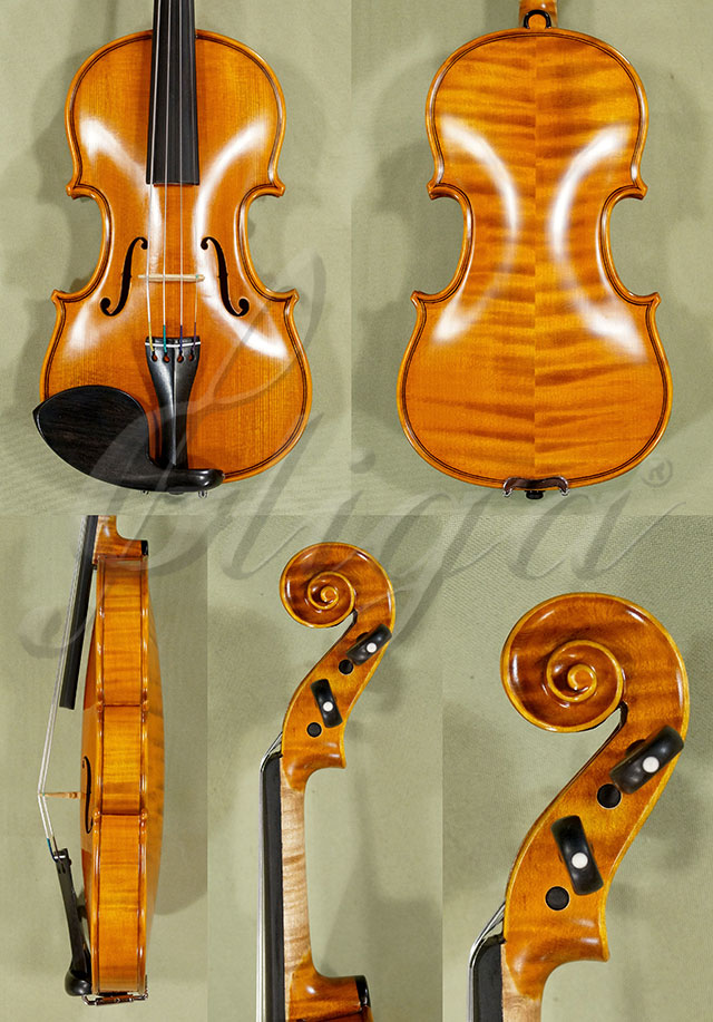 1/10 PROFESSIONAL GAMA Super Violin * Code: C2498