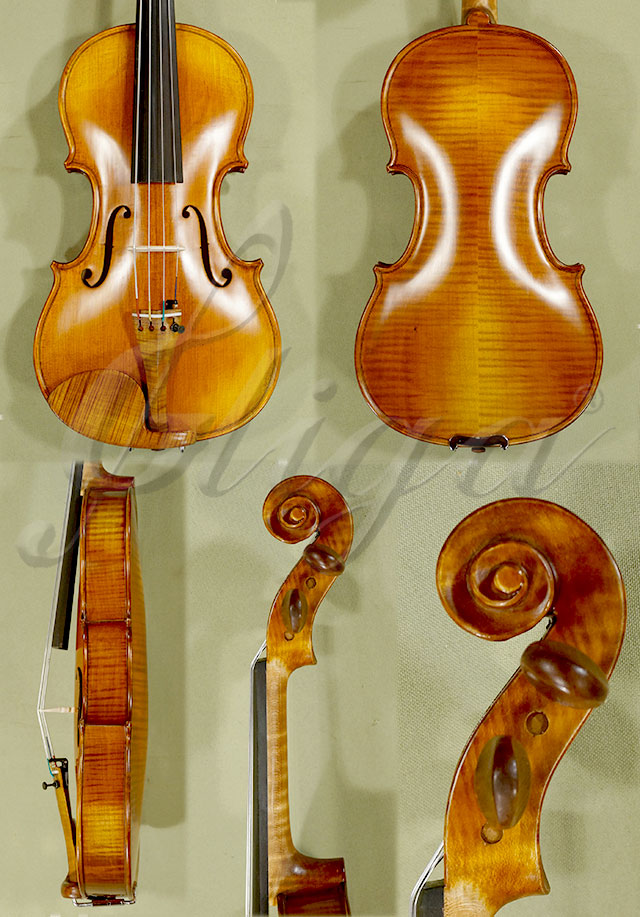 Antiqued 12" ADVANCED GENOVA 3 Viola * Code: C2601