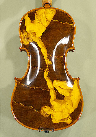 Shiny 4/4 MAESTRO VASILE GLIGA One Piece Back Violins * GC5154