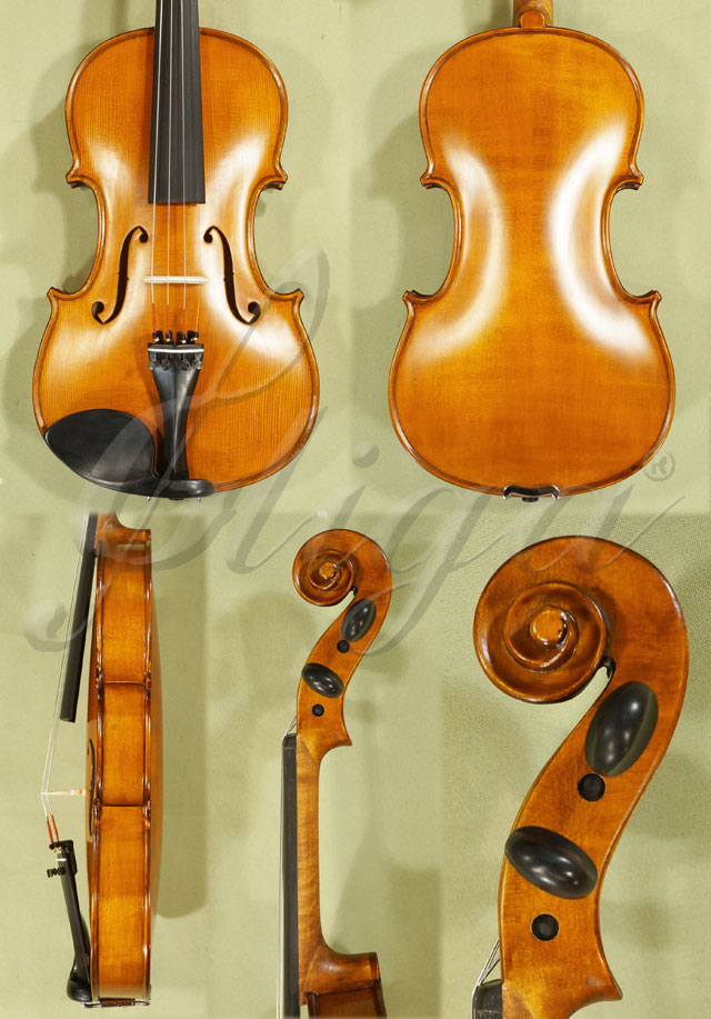 Antiqued 4/4 School GENIAL 1-Oil Violin Guarneri * Code: C3112