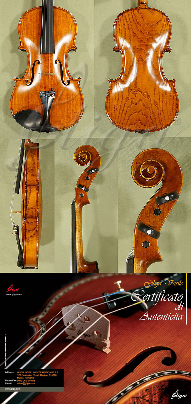 4/4 MAESTRO VASILE GLIGA Ash One Piece Back Violin * Code: C3120