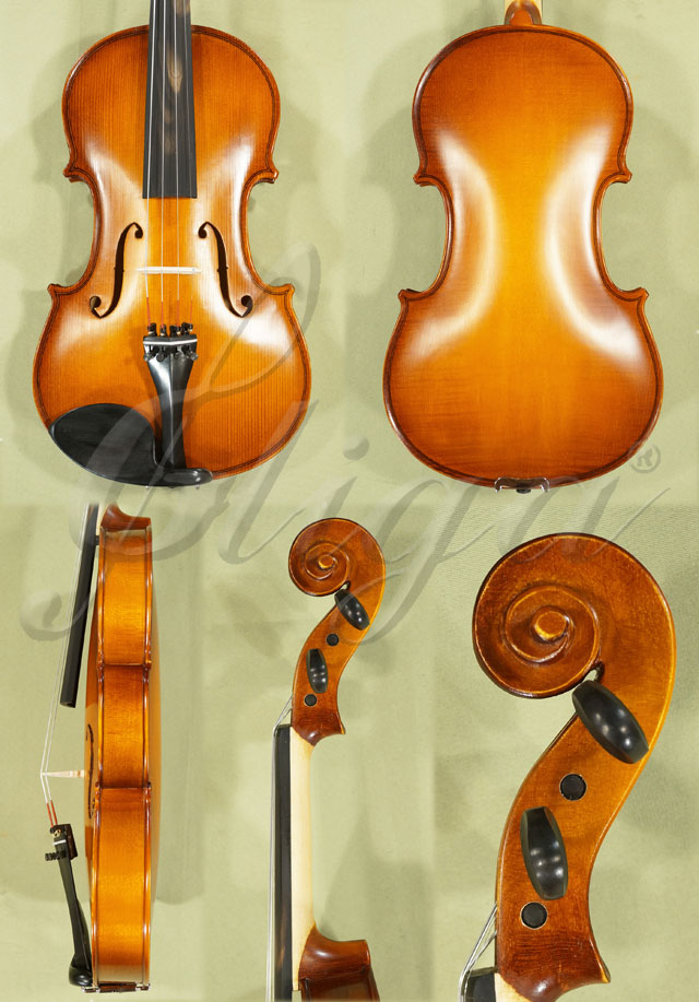 4/4 School GENIAL 1-Oil Violin Guarneri * Code: C3457