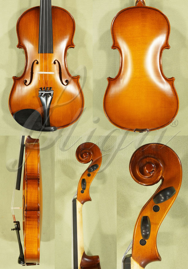 4/4 School GENIAL 1-Oil Violin Guarneri * Code: C3462