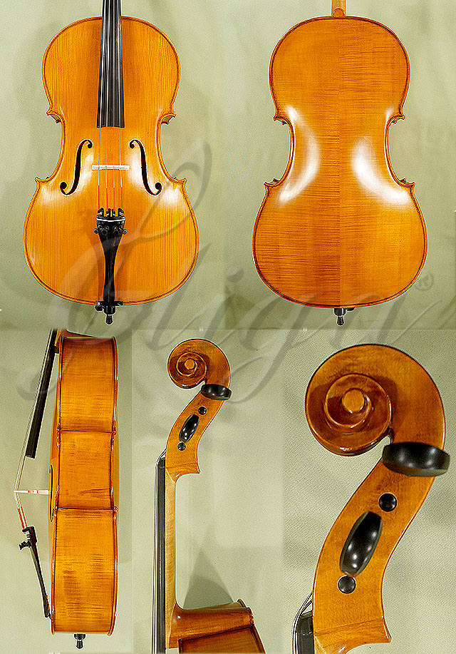 Antiqued 3/4 Student GEMS 2 Cello * Code: C3764