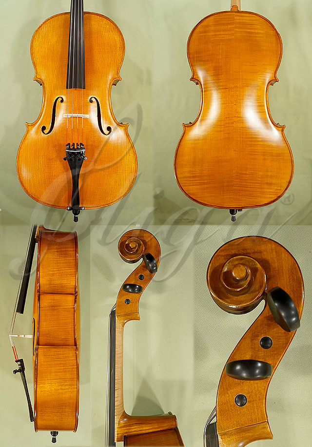 Antiqued 3/4 Student GEMS 2 Cello * Code: C3765