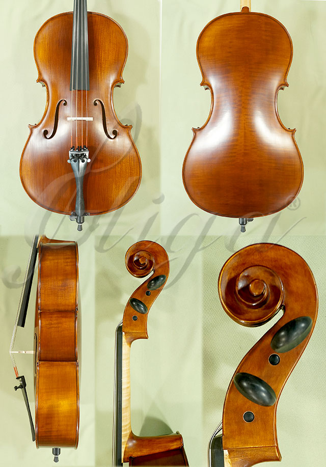 Antiqued 1/2 Student GEMS 2 Cello * Code: C4246