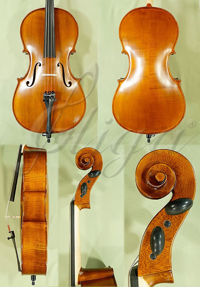 Antiqued 1/2 School GENIAL 1-Oil Cello * Code: C4301