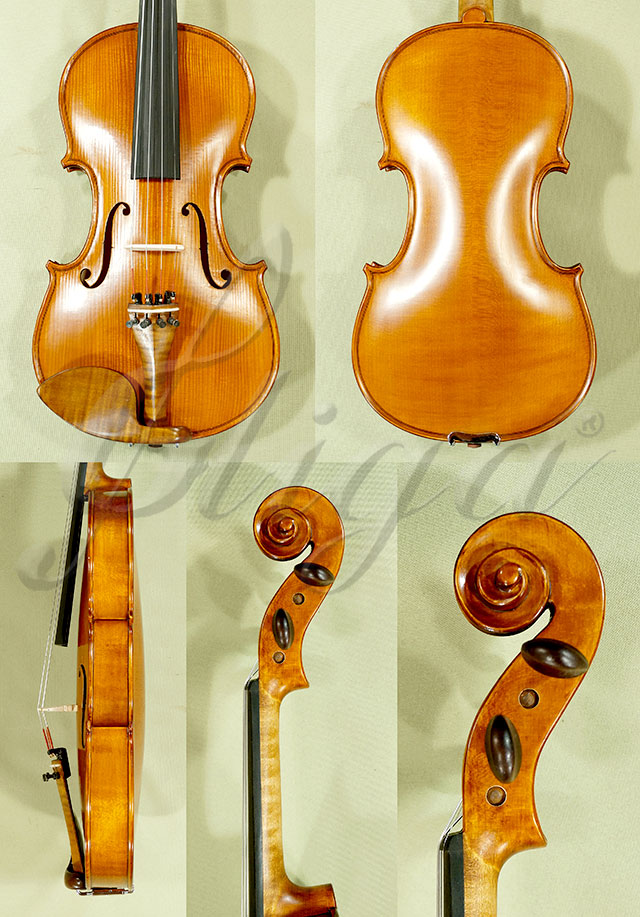 Antiqued 4/4 Student GLORIA 2 Violin * Code: C4393