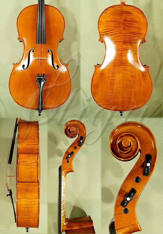 Antiqued 4/4 PROFESSIONAL GAMA Cello * Code: C4581
