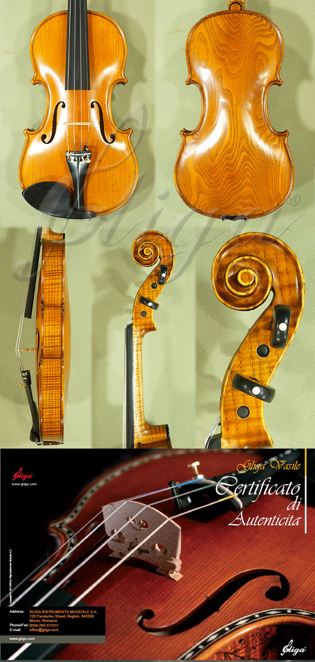 4/4 MAESTRO VASILE GLIGA Ash One Piece Back Violin * Code: C4639