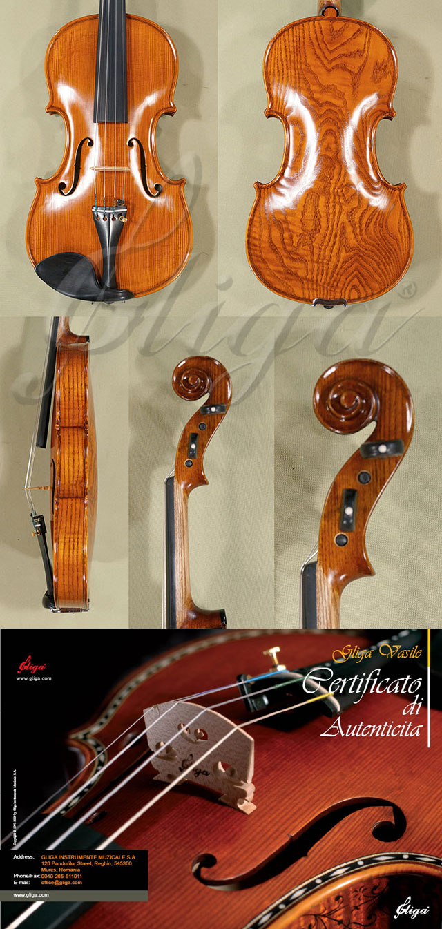 4/4 MAESTRO VASILE GLIGA Ash One Piece Back Violin * Code: C5020