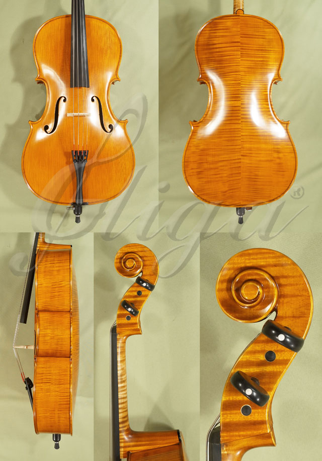 1/4 PROFESSIONAL GAMA Super Cello * Code: C5063