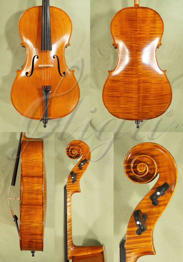 3/4 PROFESSIONAL GAMA Cello * Code: C5066