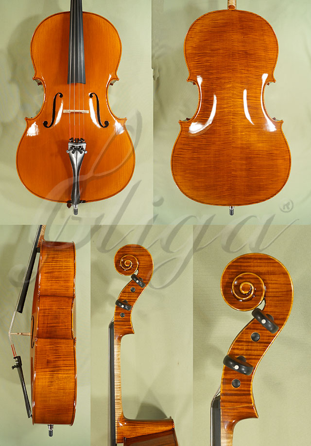 Shiny Antiqued 4/4 PROFESSIONAL GAMA Cello Italian * Code: C5115