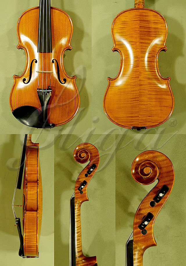 14" PROFESSIONAL GAMA Viola * Code: C5260