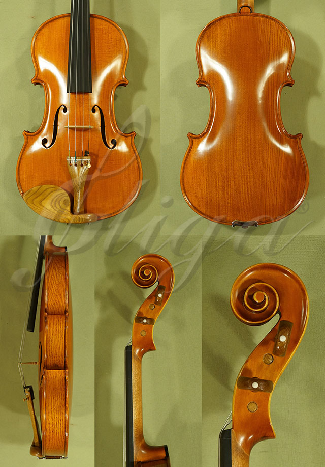 4/4 PROFESSIONAL GAMA Super Ash One Piece Back Violin Guarneri  * Code: C5266
