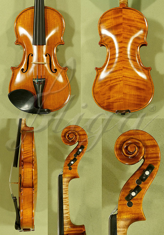 1/10 PROFESSIONAL GAMA Violin * Code: C5330