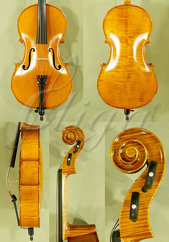 1/8 PROFESSIONAL GAMA Cello * Code: C5460