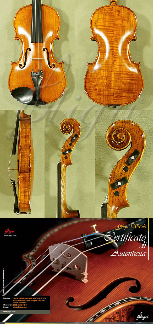 4/4 MAESTRO VASILE GLIGA Ash Violin * Code: C5531