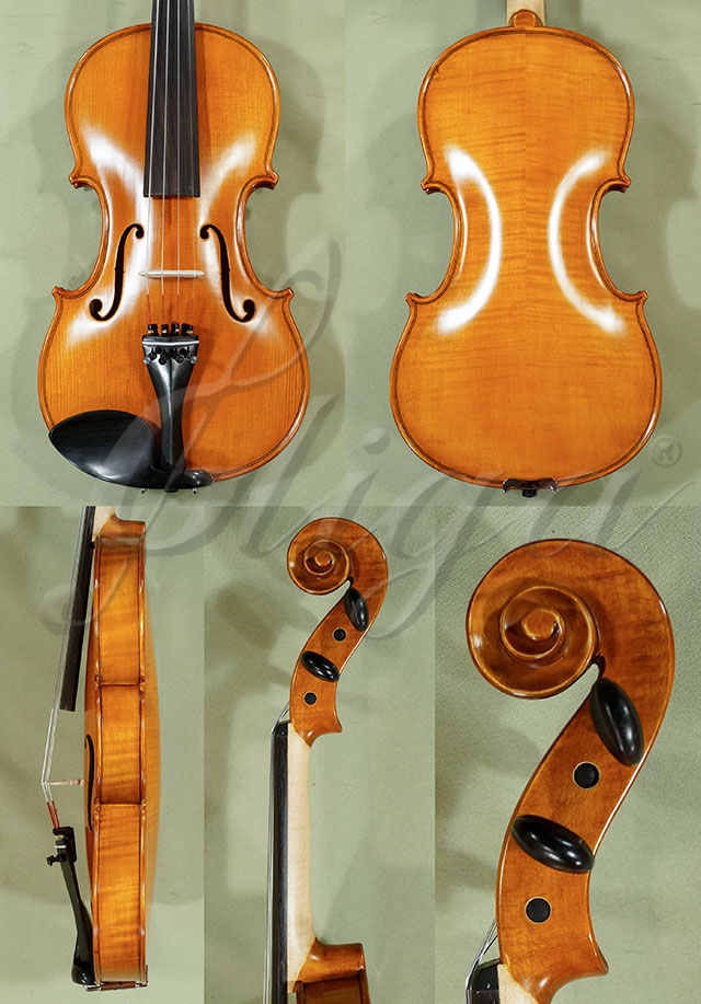 Antiqued 4/4 Student GEMS 2 Violin * Code: C6314