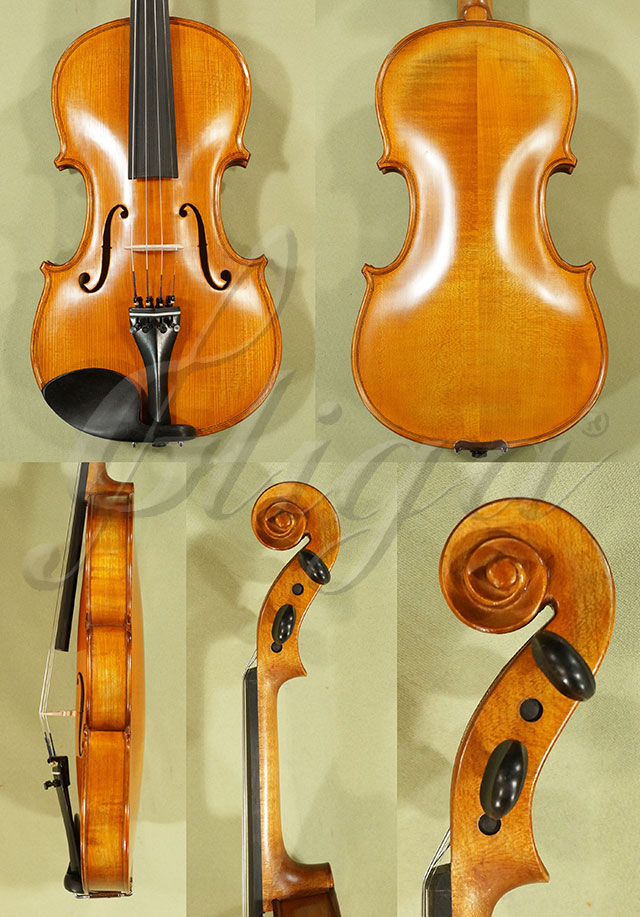 Antiqued 4/4 School GENIAL 1-Oil Violin * Code: C6637