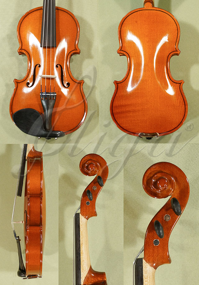 1/16 School GENIAL 2-Nitro Violin * Code: C6780