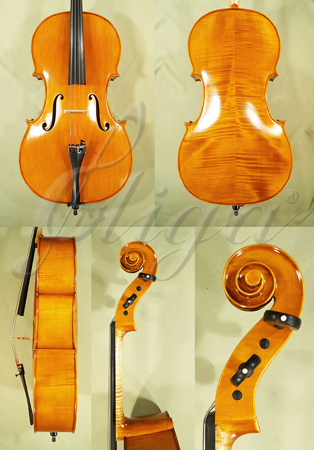 4/4 PROFESSIONAL GAMA Cello * Code: C6801