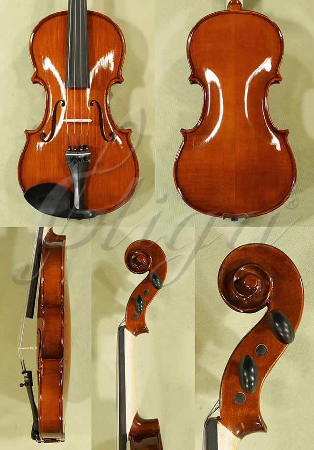 Shiny 4/4 School GENIAL 1-Oil Violin * Code: C7113