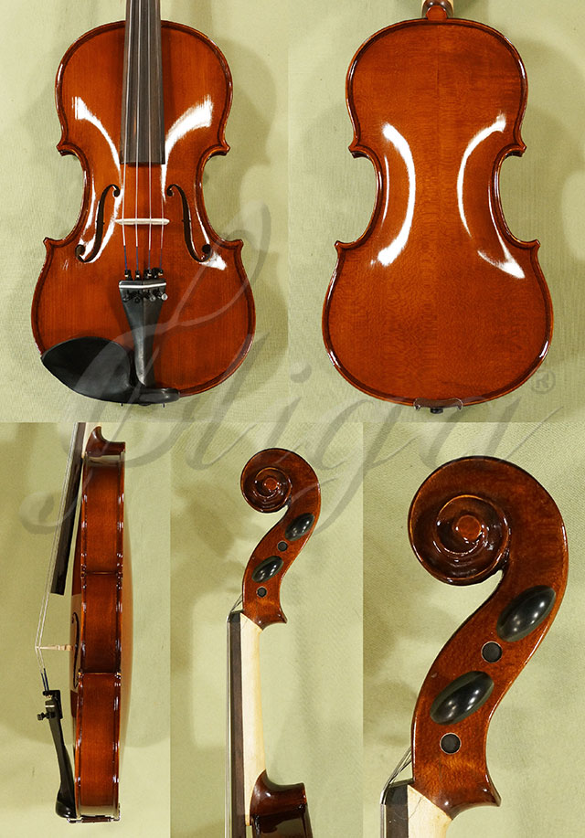 Shiny 4/4 School GENIAL 1-Oil Violin * Code: C7114