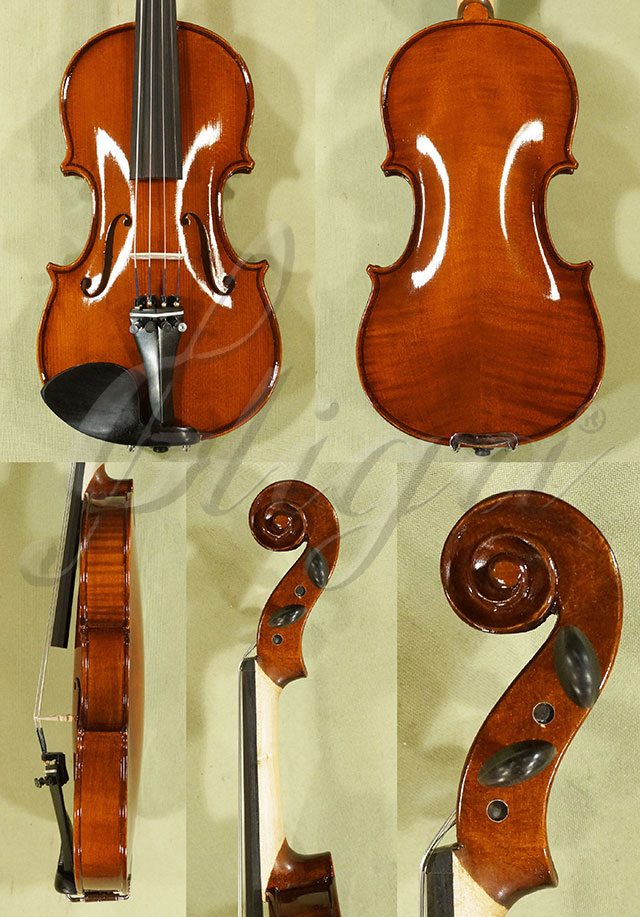 Shiny 1/4 School GENIAL 1-Oil Violin * Code: C7233