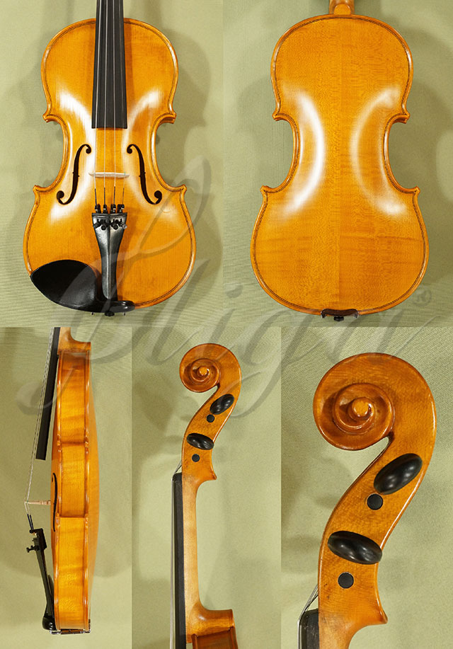 4/4 School GENIAL 1-Oil Violin * Code: C7283