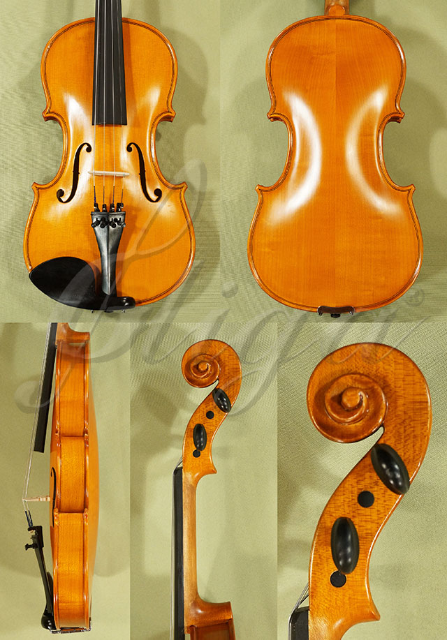 4/4 School GENIAL 1-Oil Violin * Code: C7289