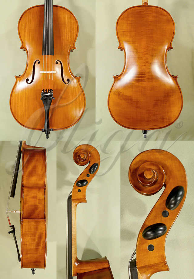 Antiqued 3/4 Student GEMS 2 Cello * Code: C7327