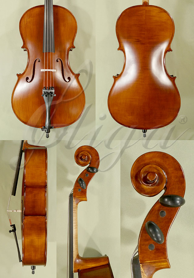 Antiqued 1/2 Student GEMS 2 Cello * Code: C7329