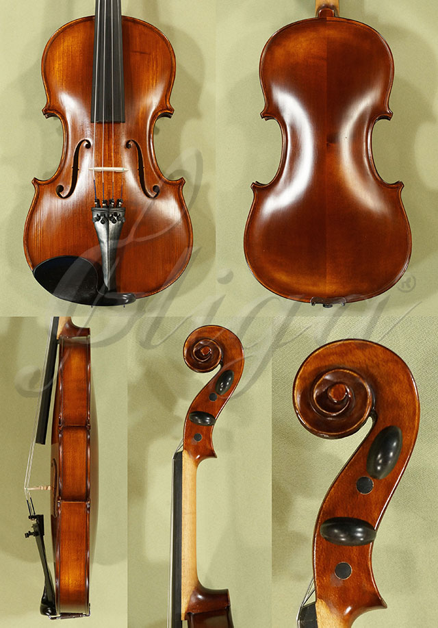 Antiqued 4/4 School GENIAL 1-Oil Violin * Code: C7342