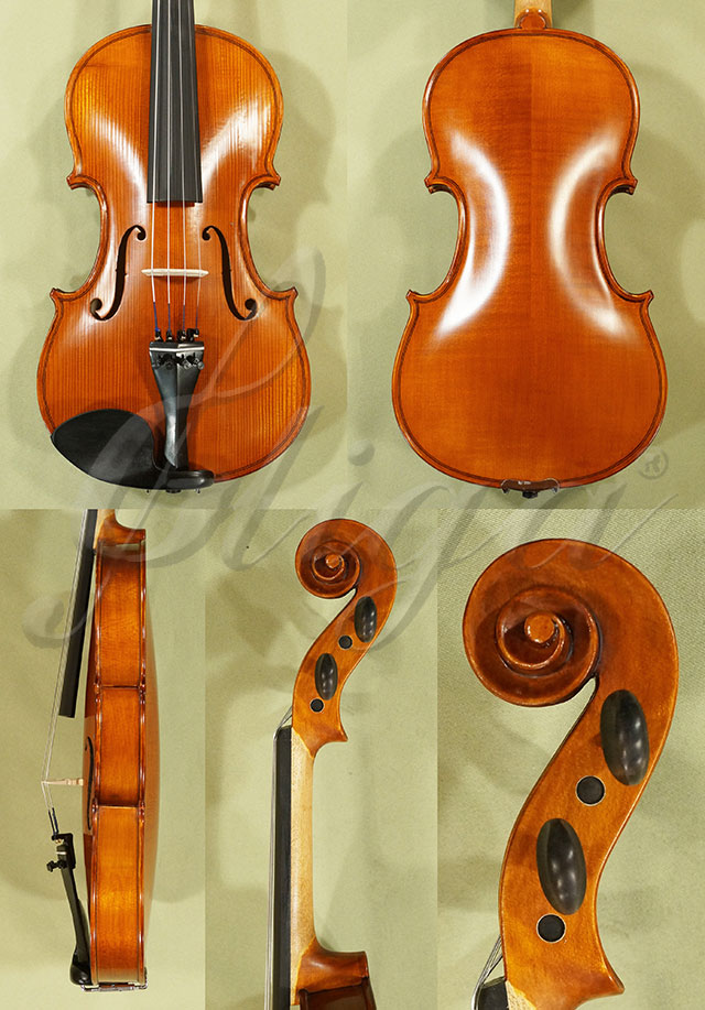 Antiqued 4/4 School GENIAL 1-Oil Violin * Code: C7387
