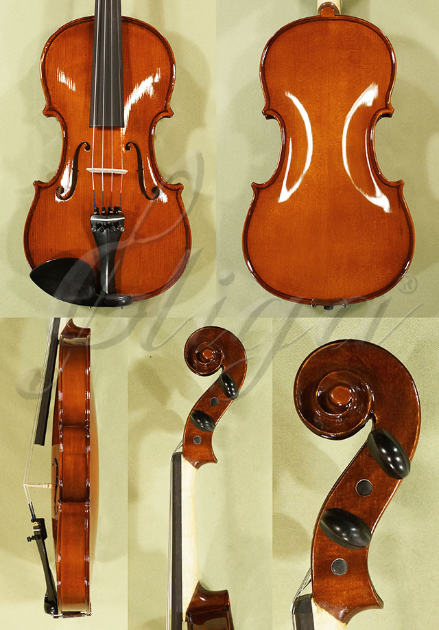 Shiny 4/4 School GENIAL 1-Oil Violin * Code: C7389