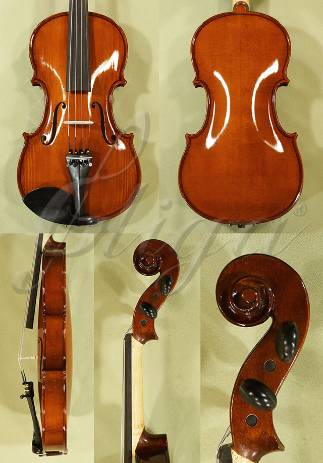 Shiny 4/4 School GENIAL 1-Oil Violin * Code: C7390