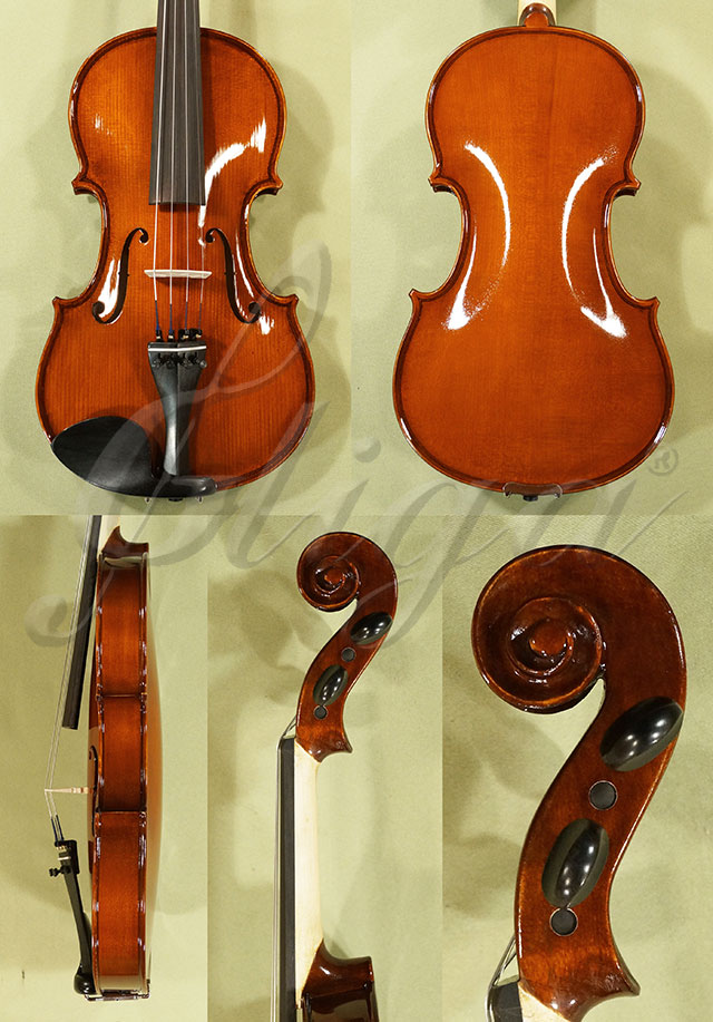 Shiny 4/4 School GENIAL 1-Oil Violin * Code: C7398