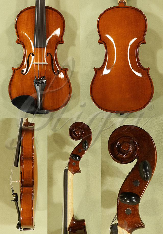 Shiny 4/4 School GENIAL 1-Oil Violin * Code: C7401