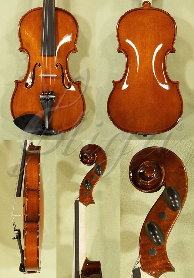 Shiny 4/4 School GENIAL 1-Oil Violin * Code: C7403