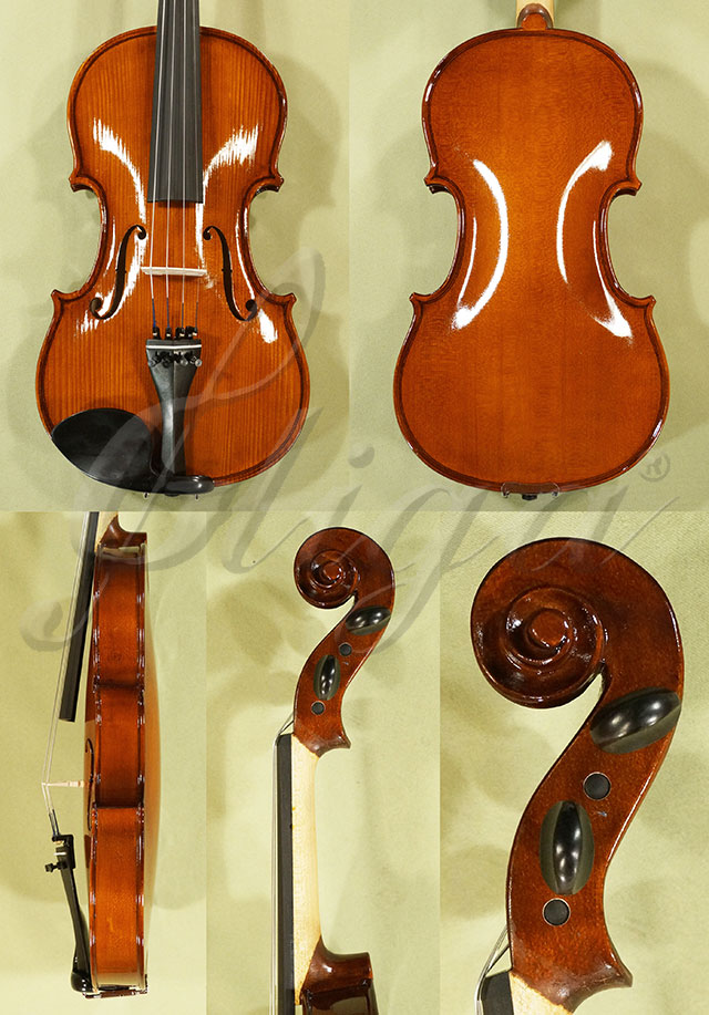 Shiny 4/4 School GENIAL 1-Oil Violin * Code: C7404